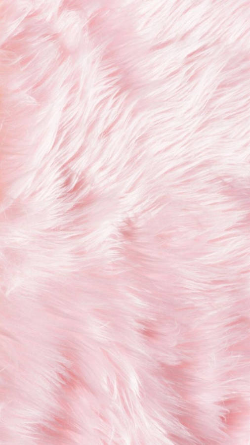 Plain Pink Fur Wallpaper