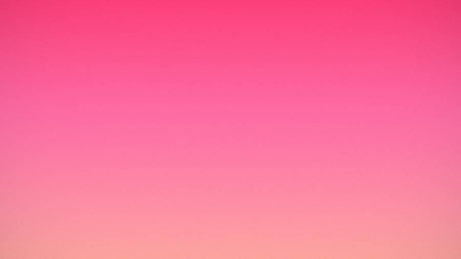 Plain Pink Gradient Wallpaper