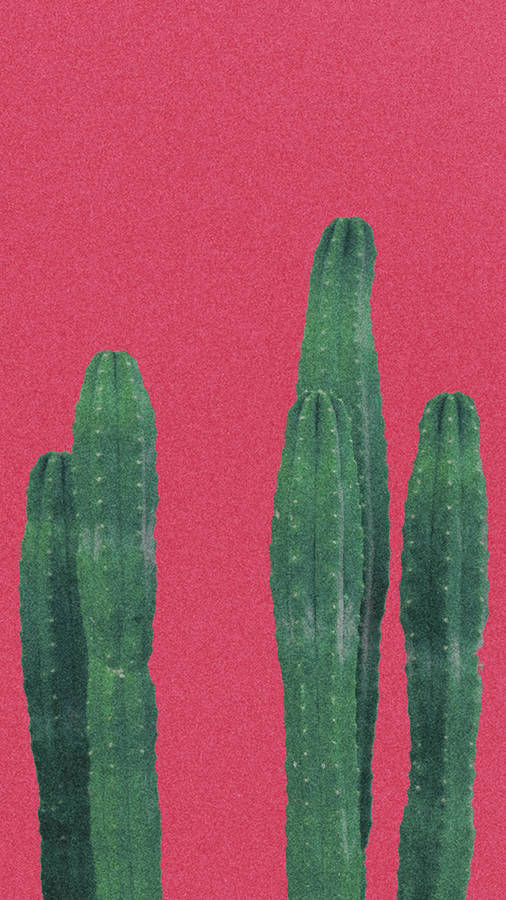 Plain Red Aesthetic Minimalist Plant Wallpaper