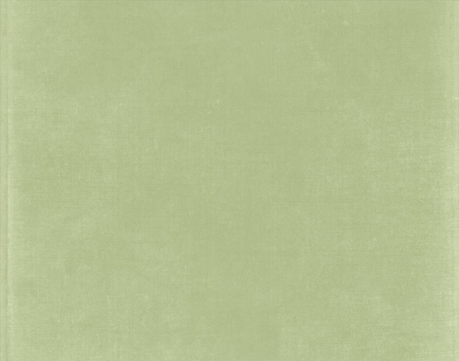 Plain Sage Green Desktop Wallpaper