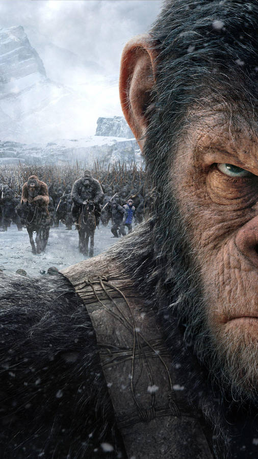 Planet Of The Apes Headshot Wallpaper