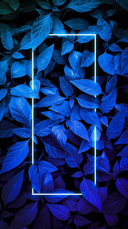 Plants Neon Blue Iphone Wallpaper