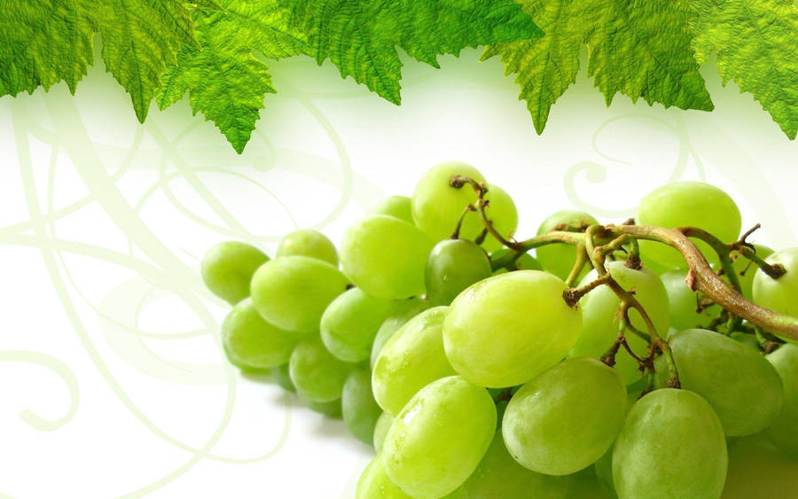 Plate Of Ripe Dominga Grapes Wallpaper