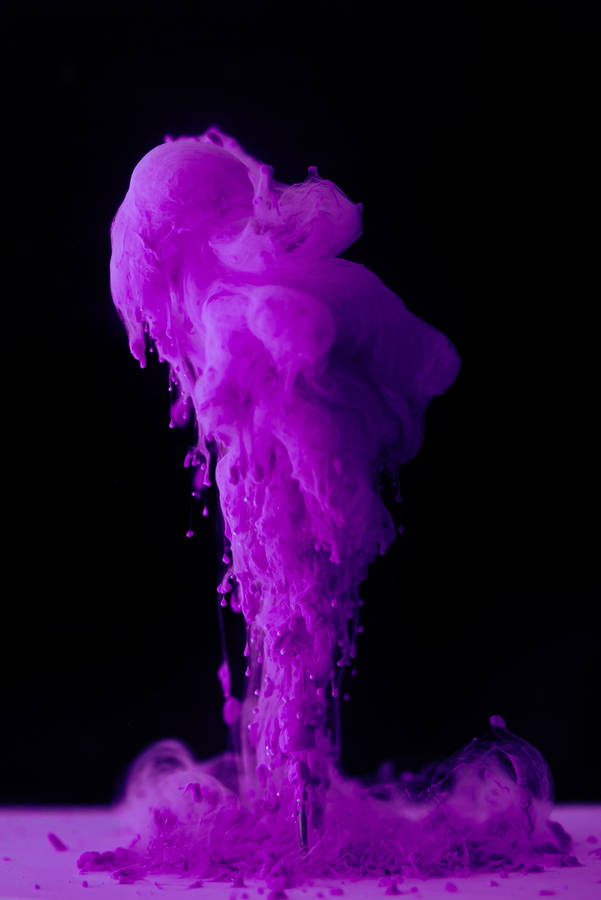 Plume Black And Purple Phone Wallpaper