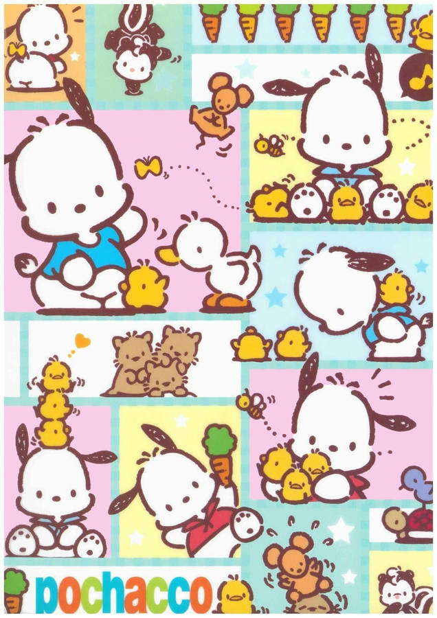 Pochacco Art With Sanrio Friends Wallpaper