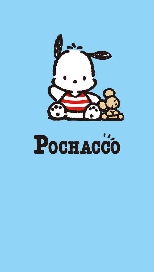 Pochacco Red And White Shirt Wallpaper