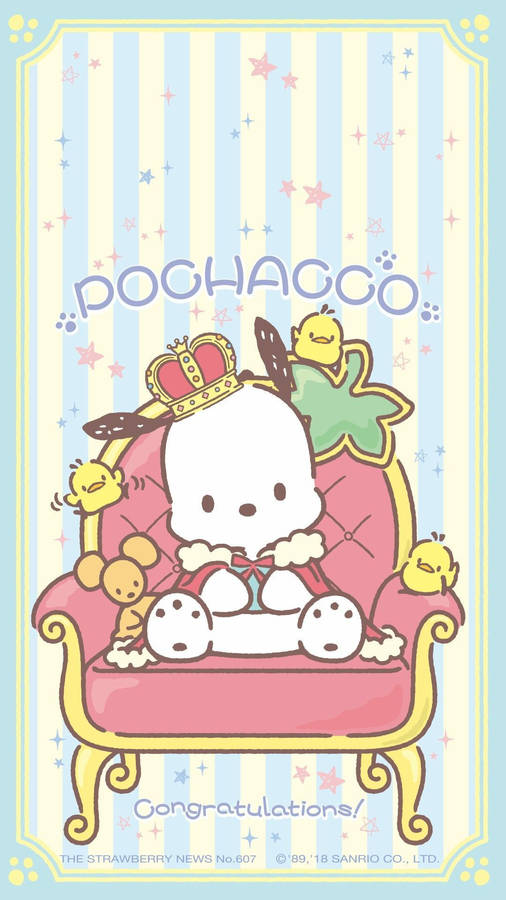 Pochacco Sanrio Cartoon Wallpaper