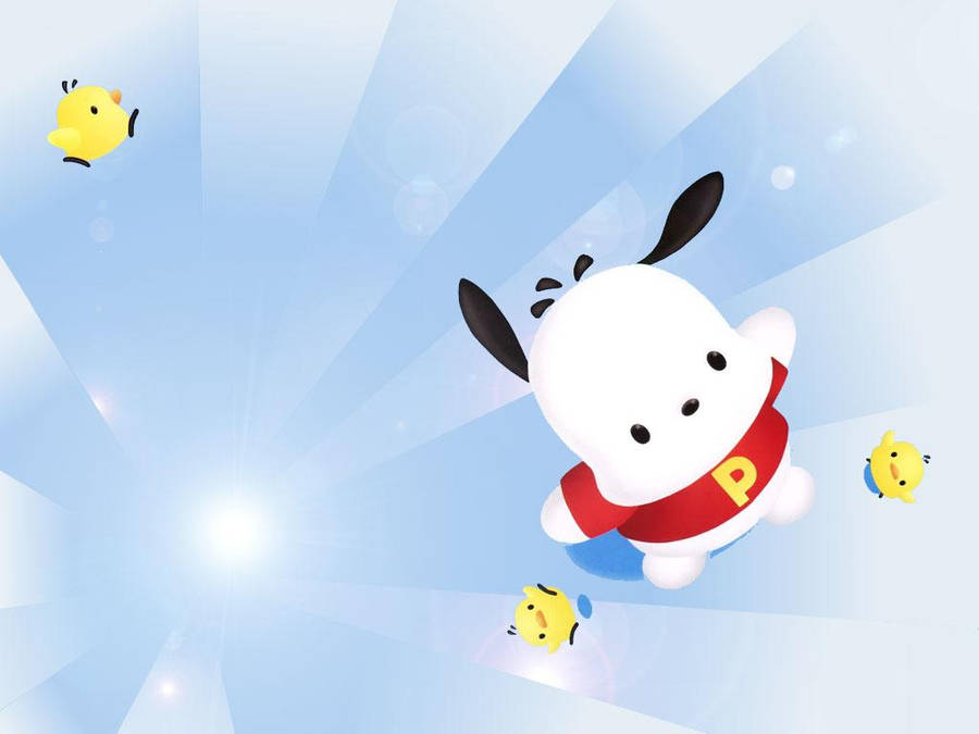 Pochacco Sanrio Character Wallpaper