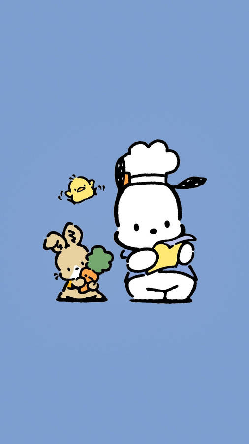 Pochacco Wearing Chef Hat Wallpaper