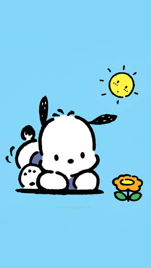 Pochacco With Orange Flower & Sun Wallpaper