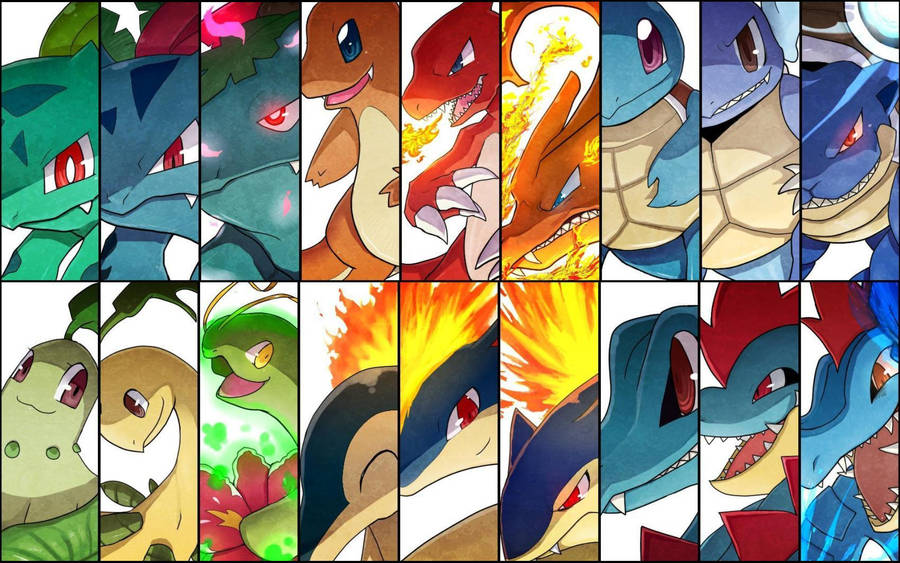 Pokemon Evolution Wallpaper