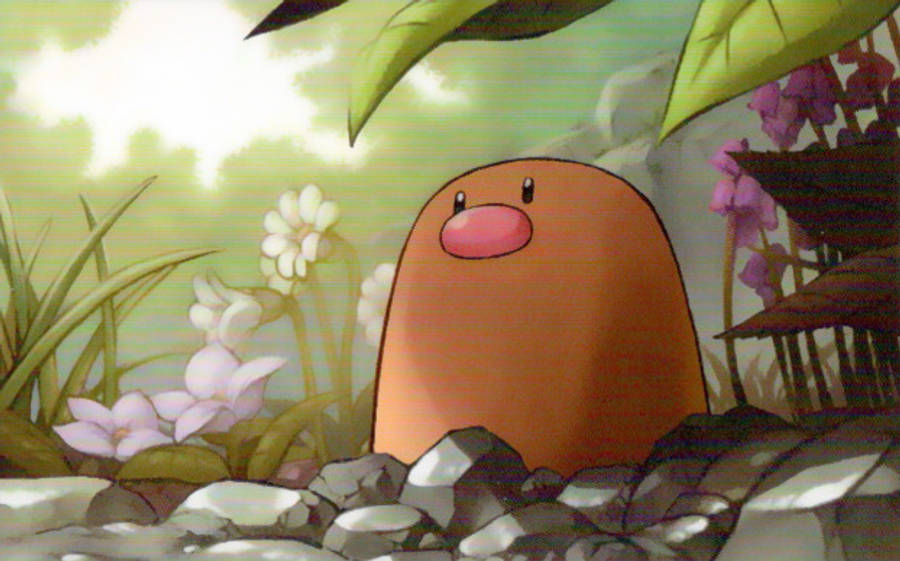 Pokémon's Diglett With Forest Flowers Wallpaper