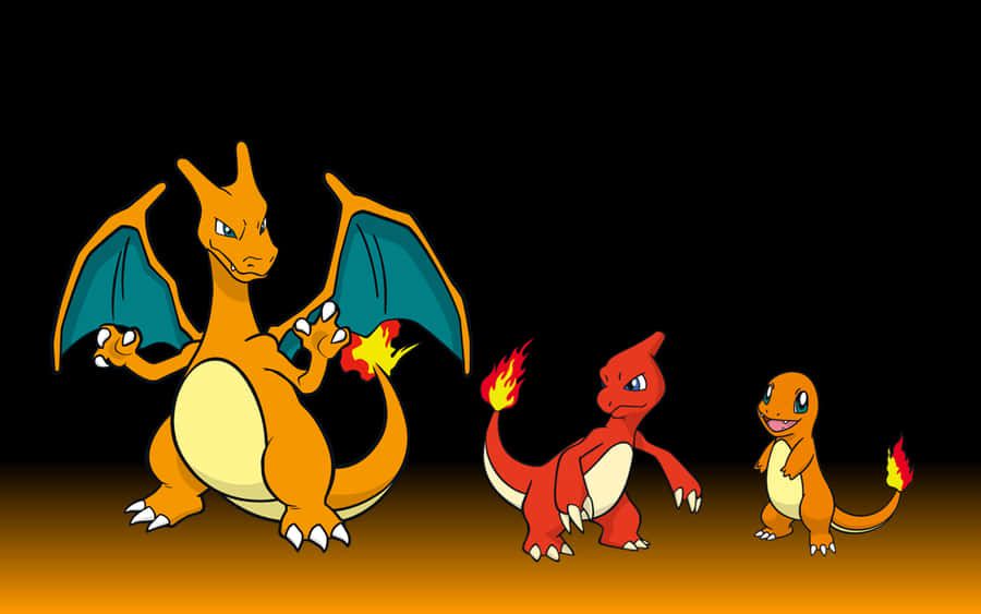 Pokemon Wallpapers - Pokemon Wallpapers Wallpaper