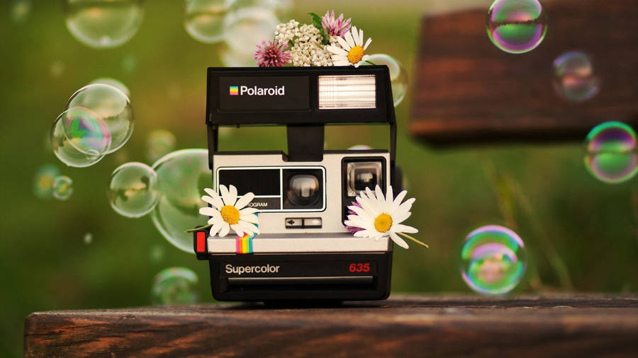 Polaroid With Bubbles Wallpaper