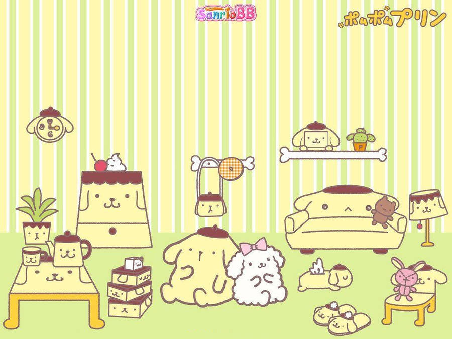 Pompompurin Indoor Shot Wallpaper