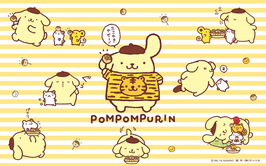 Pompompurin Variant Position Hd Wallpaper
