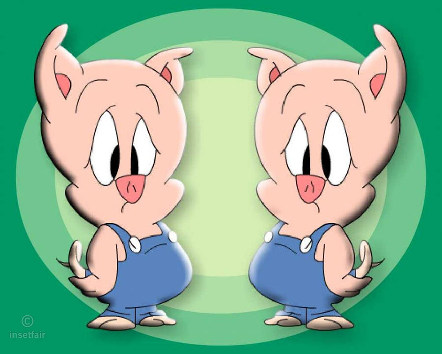 Porky Pig Fictional Character Wallpaper