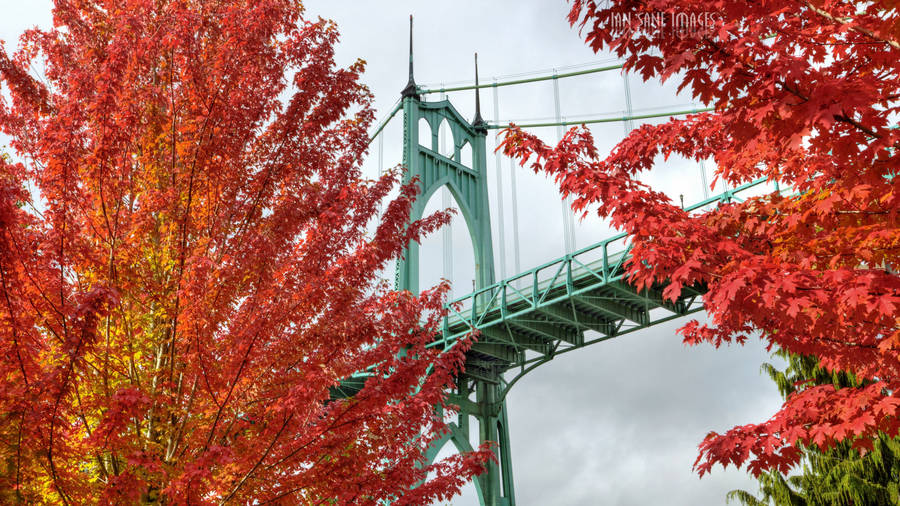 Portland St Johns Bridge Autumn Wallpaper