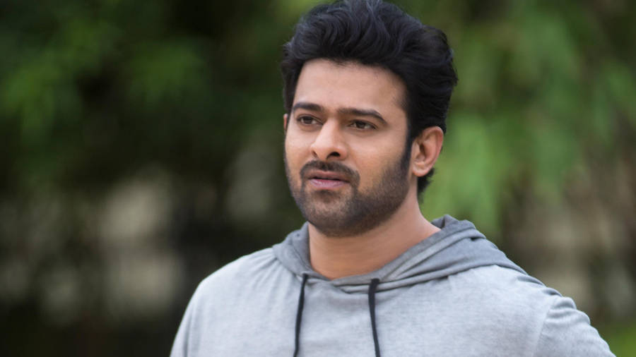 Prabhas Hd Gray Hooded Sweater Wallpaper