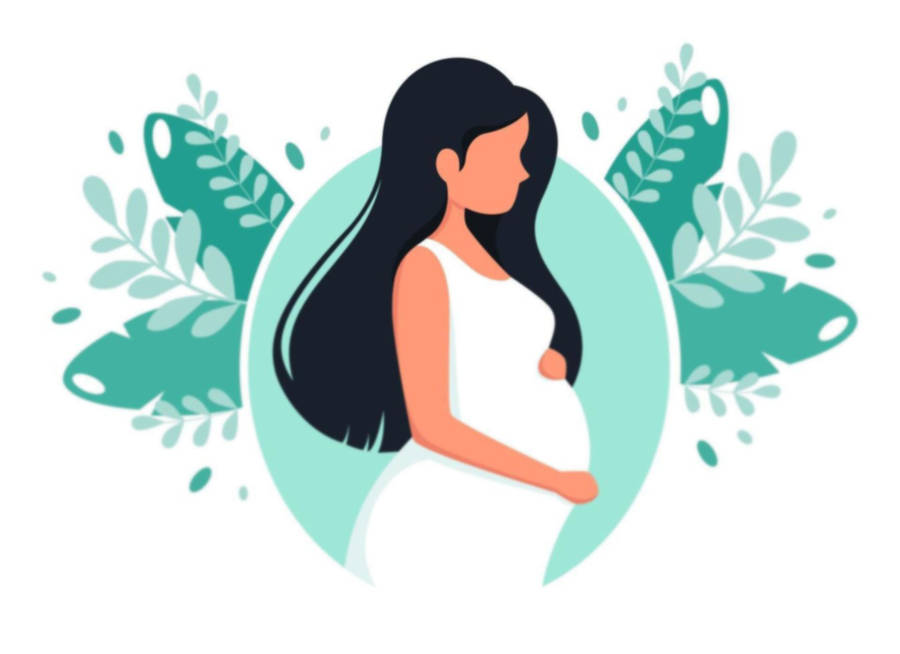 Pregnant Vector Art Wallpaper