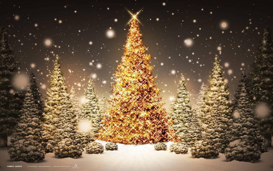 Pretty Christmas Trees In Snow Wallpaper