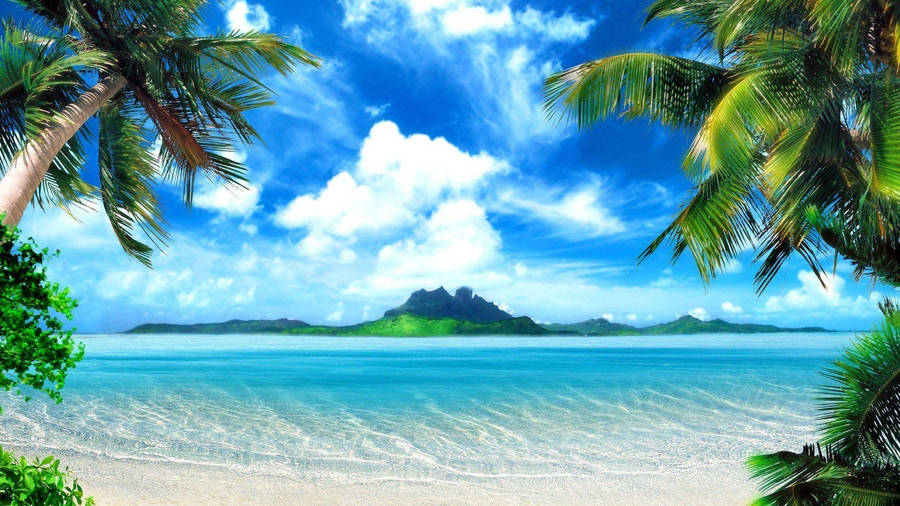 Pretty Tropical Beach Area Wallpaper