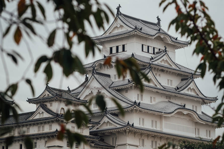 Pristine Looking Himeji Castle Wallpaper