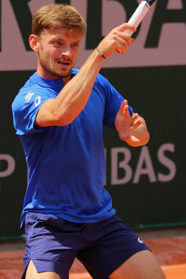 Professional Tennis Player David Goffin, Wearing A Blue Outfit During A Match Wallpaper