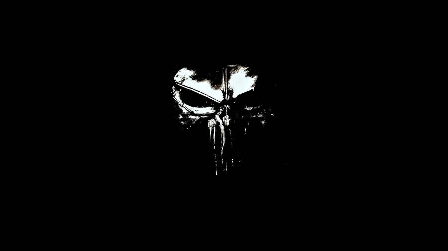 Protagonist Punisher Logo Wallpaper