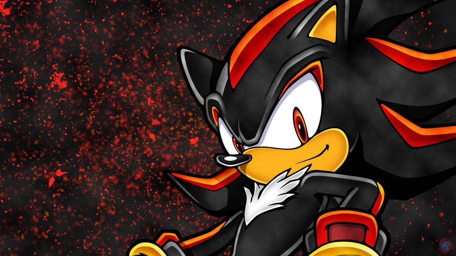 Proud Cartoon Shadow The Hedgehog Pfp Artwork Wallpaper