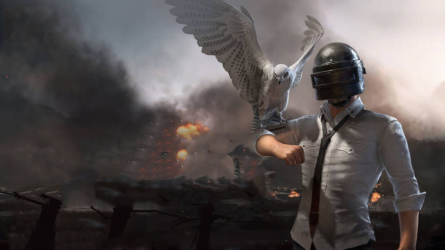 Pubg 2020 Helmet Guy And Bird Wallpaper