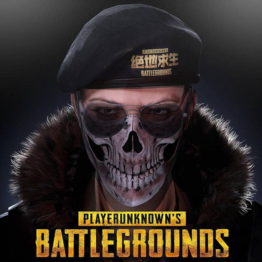 Pubg Hd Skull Mask Avatar Wallpaper