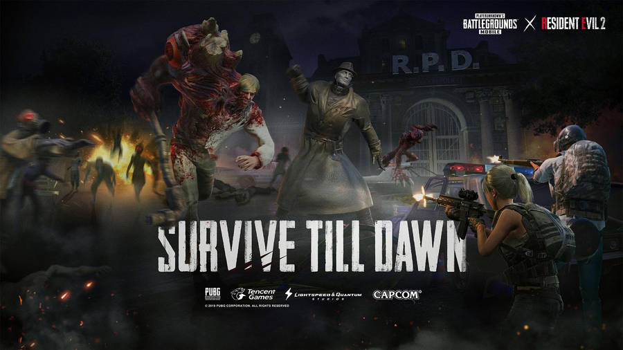 Pubg Hd Survive Till Dawn Wallpaper