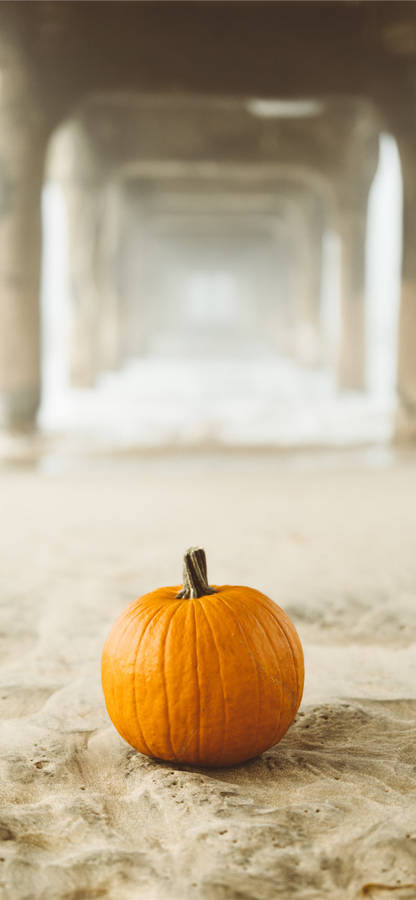 Pumpkin On Sand Thanksgiving Iphone Wallpaper