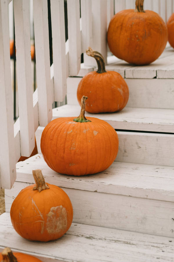 Pumpkins On Staircase Wallpaper