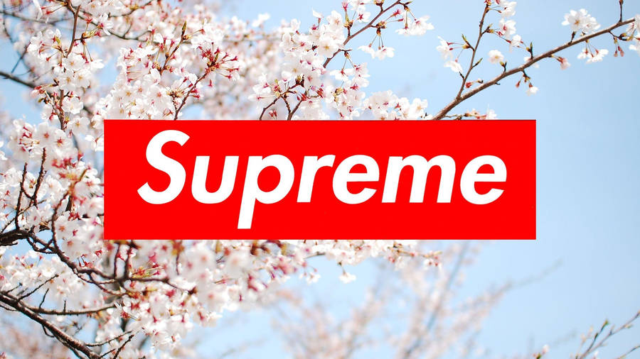 Pure Red Cherry Blossom Supreme Laptop Wallpaper