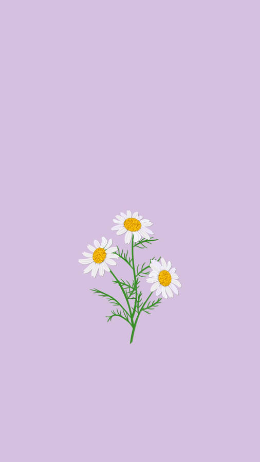 Purple Aesthetic Phone Daisy Flowers Wallpaper