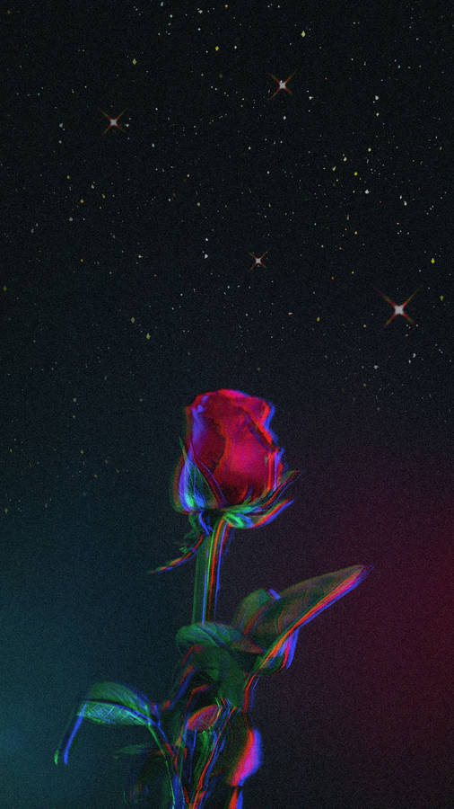 Purple Aesthetic Phone Rose Wallpaper