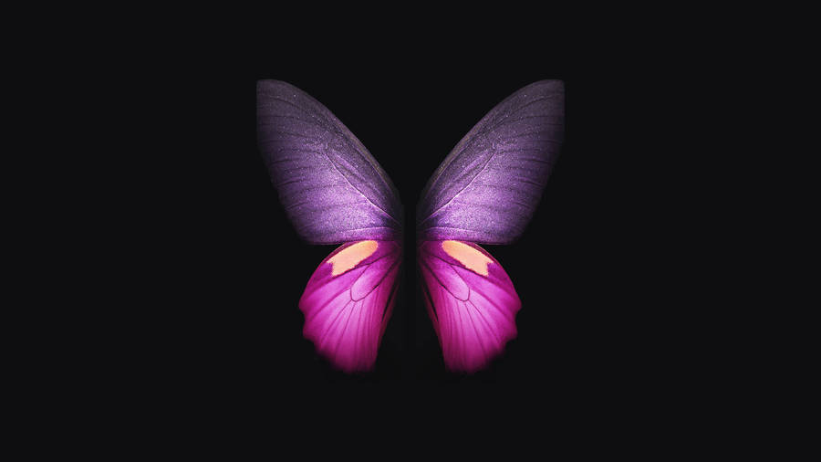 Purple And Cute Pink Butterfly Wallpaper