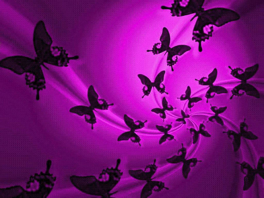 Purple Butterfly Silhouette Wallpaper