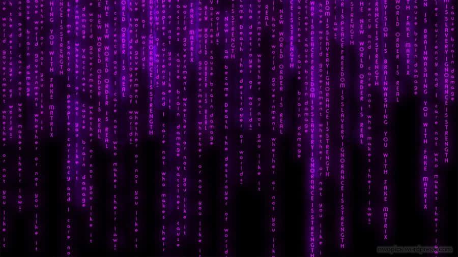 Purple Matrix Wallpapers Hd Wallpapers Wallpaper