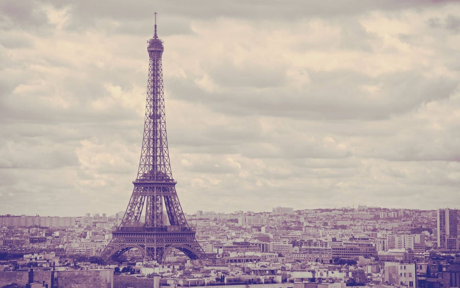 Purple Monochrome Eiffel Tower Paris Wallpaper