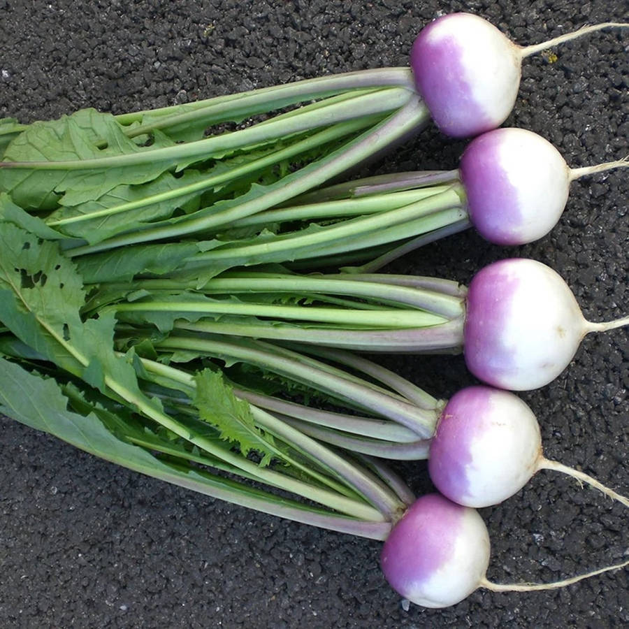 Purple Vegetable Turnips With Leaves Wallpaper