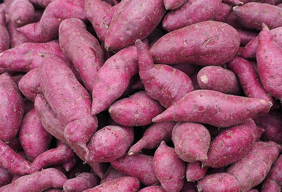 Purple Yam Root Crop Wallpaper