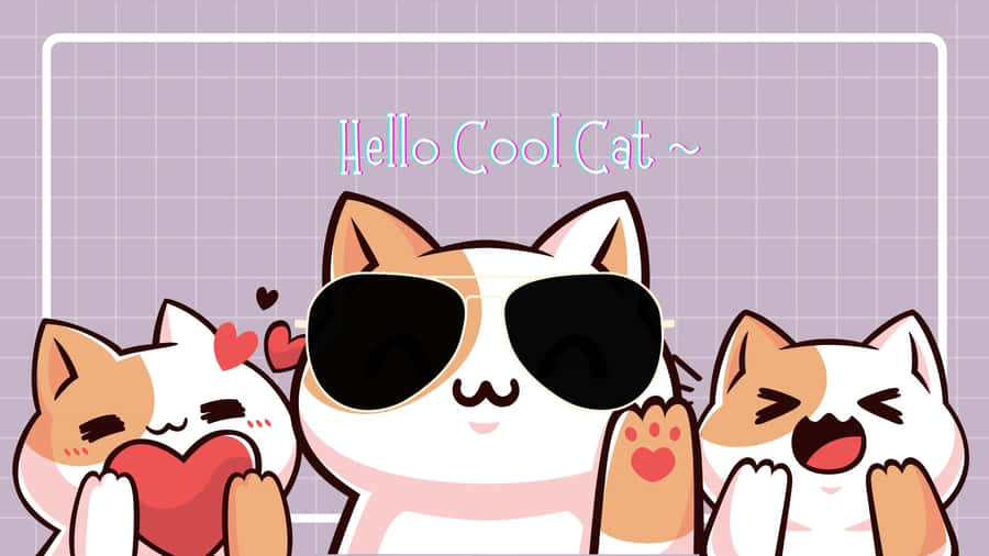 Put On Some Cool Shades Wallpaper