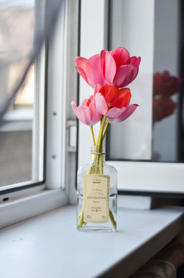 Quaint Cute Flower Wallpaper