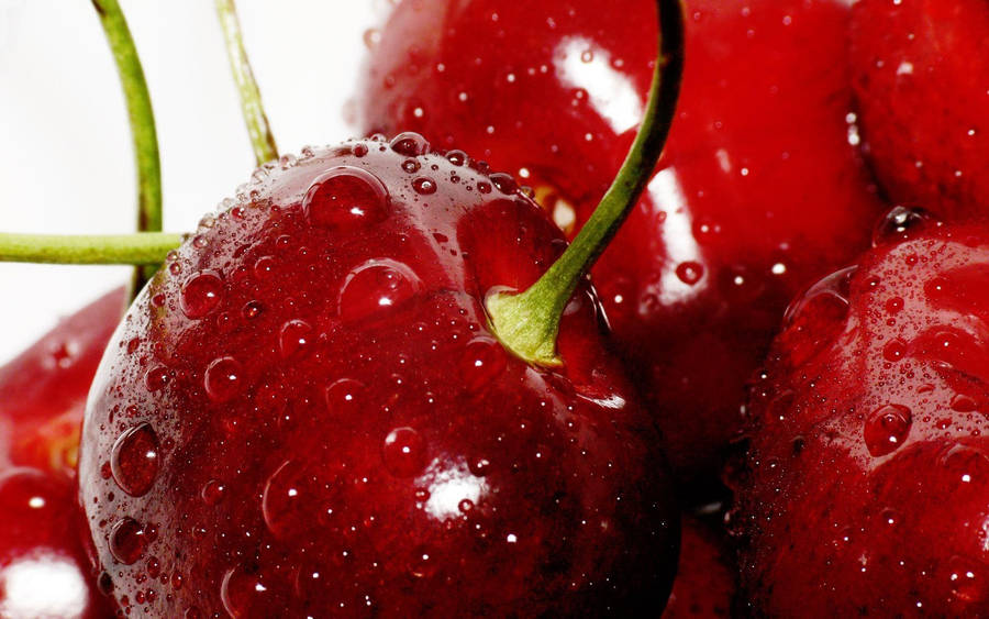 Queen Anne Cherries Wallpaper