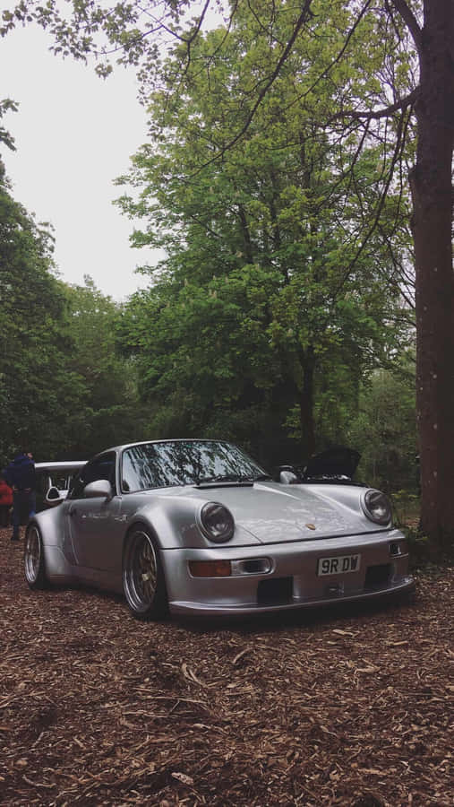 R W B Porschein Forest Setting Wallpaper