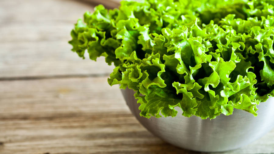 Radiant Silver Bowl Lettuce Wallpaper