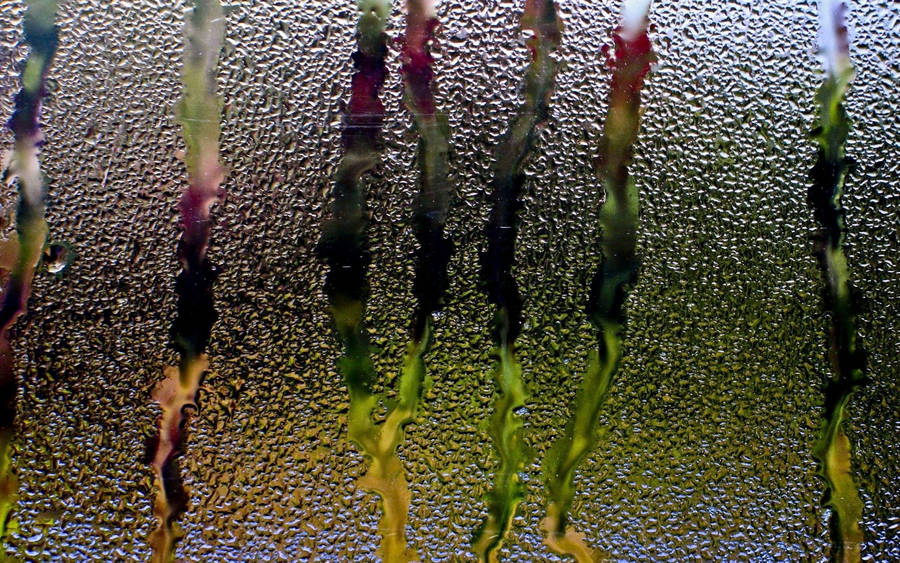 Rain, Glass, Window, Water, Droplets, Flow Wallpaper